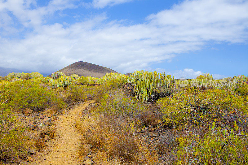 malpais de guimar - Tenerifes自然特别保护区
